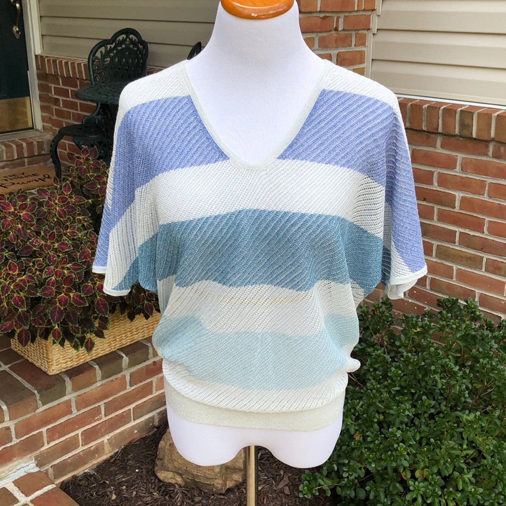 Express large sweater